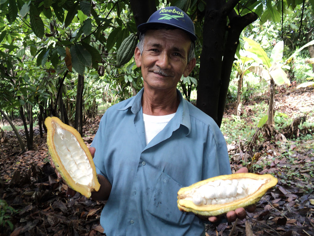 Reconocen a 7 mil pequeños productores de Piura - Walac Noticias - Walac Noticias (Comunicado de prensa) (Registro) (blog)
