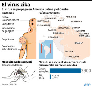 zika infografia