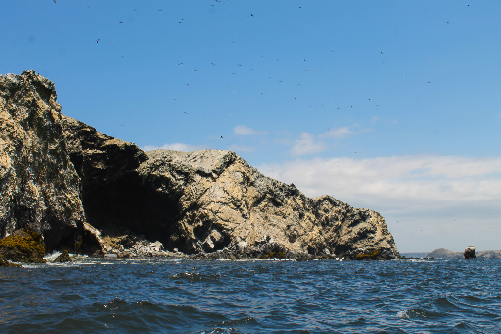 isla foca