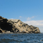 isla foca