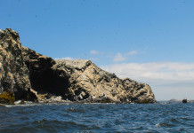 isla foca