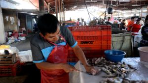 Los vendedores comentaron que algunas veces solo les venden tallas pequeñas de pescados como la cachema. Foto: Andrés Muñinco. 
