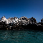isla foca