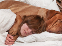 Descansar con tu mascota te puede ayudar a dormir mejor