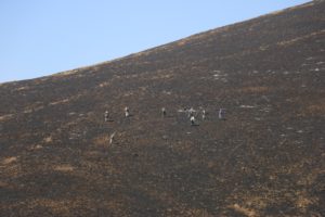 Comuneros de Pacaipampa tras cortar el fuego de sus sector. Foto Jorge Novoa