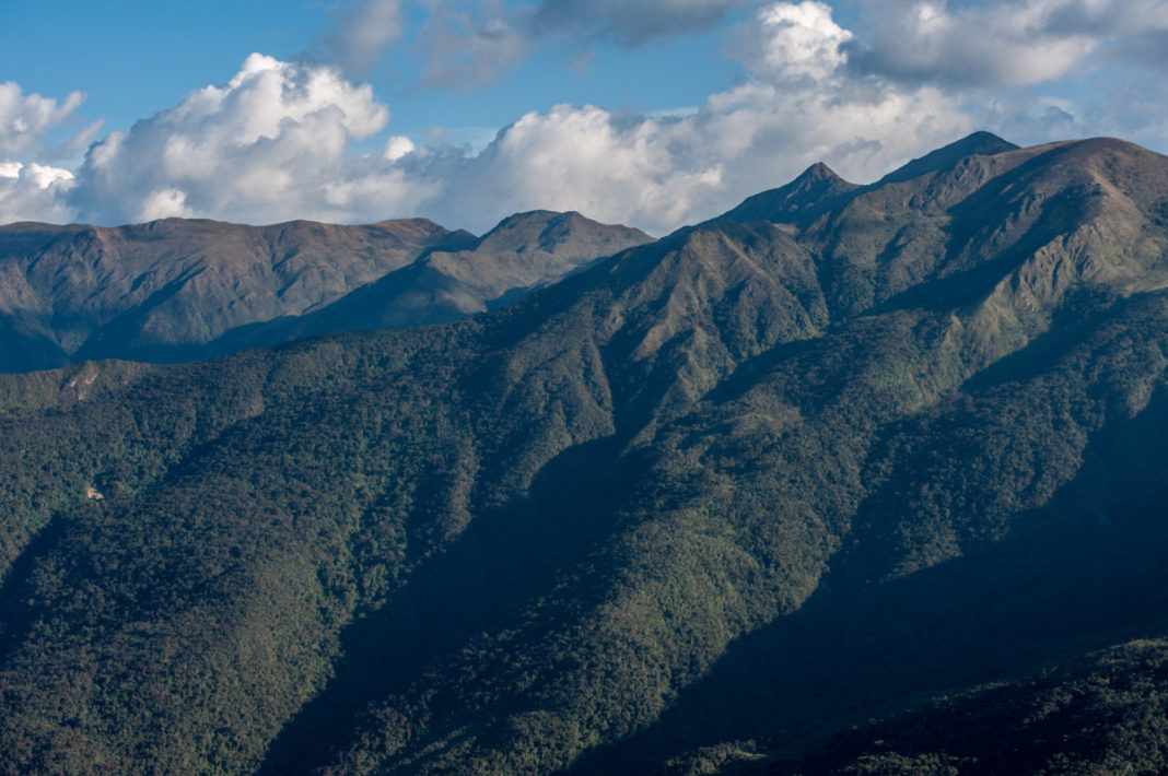 ACP Bosques montanos y páramos Chicuate Chinguelas. Foto: André Baertschi