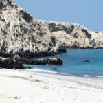 isla foca