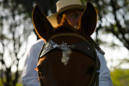 CABALLOS DE PASO PIURA