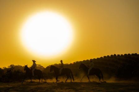 CABALLOS DE PASO PIURA