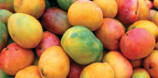 5 beneficios del mango que debes conocer
