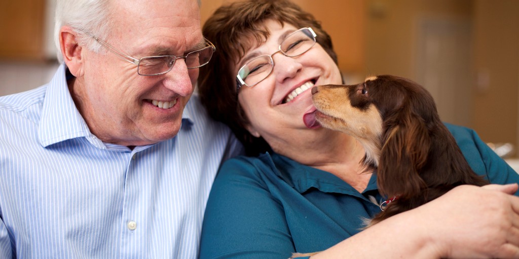 Beneficios de las mascotas para adultos mayores