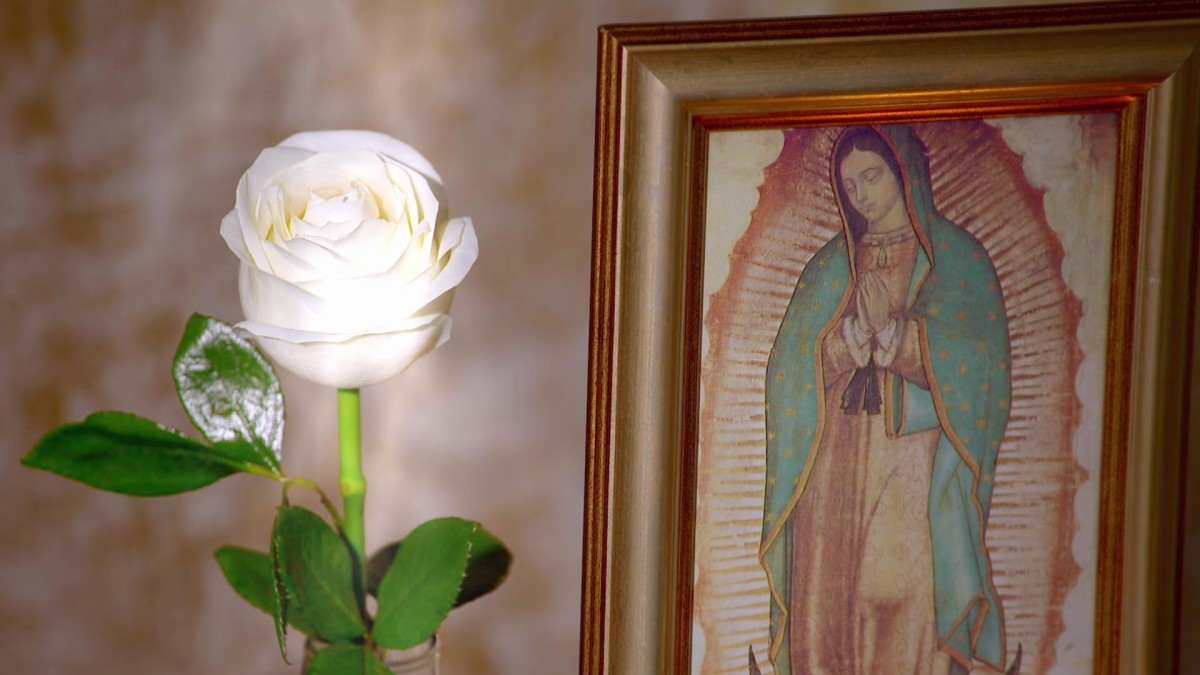 La Rosa De Guadalupe La Venganza De La Niña