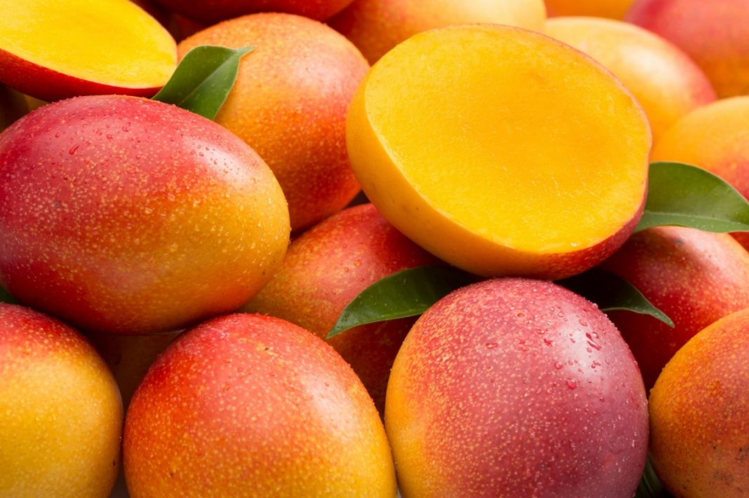 Anímate a preparar estos 4 postres con mango súper fáciles