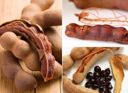 Aprende a preparar dulces de tamarindo en casa | Walac Noticias