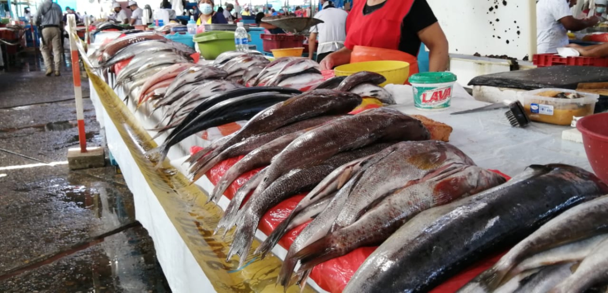 Conoce el precio de los pescados en el ex Terminal Pesquero de Piura