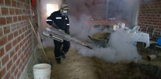Dengue en Piura: sancionarán con 495 soles a vecinos que se opongan a fumigación