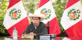 Presidente Castillo: "El Perú tiene plena apertura para atraer inversiones"