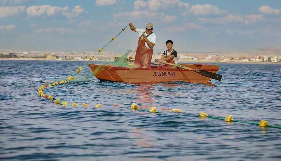 Más de 300 pescadores artesanales de Máncora se reinventan con cadenas turísticas / Foto difusión.