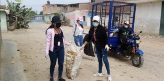 Realizan campaña de recojo de criaderos de zancudos en Tambogrande
