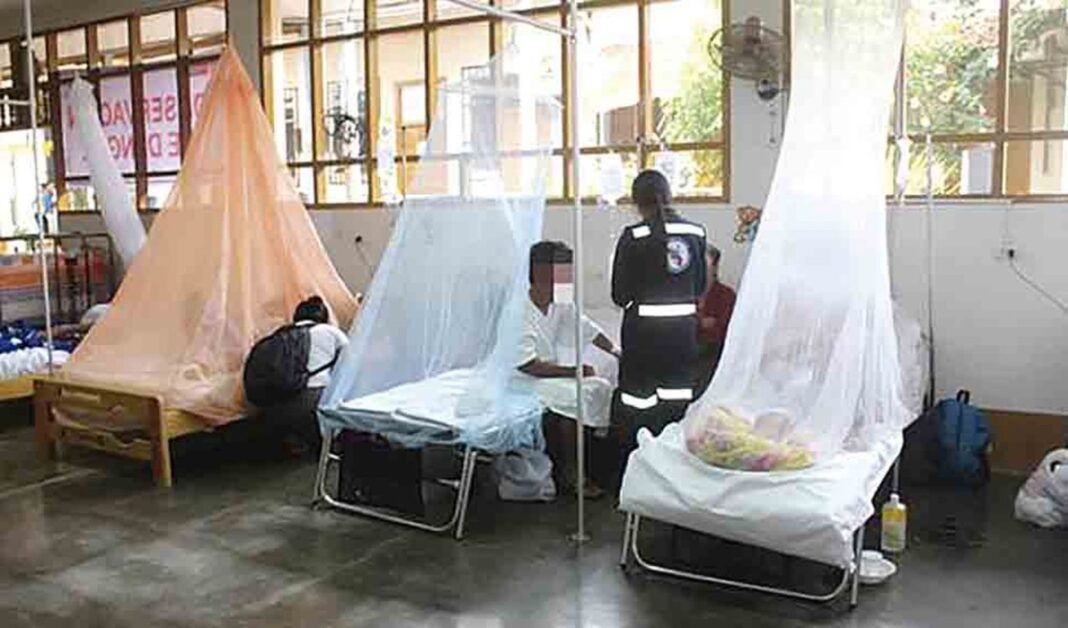 Dengue en Piura: anuncian presupuesto de 400 mil soles para enfrentar enfermedad 