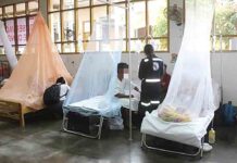 Reportan más de mil casos de dengue en Piura hasta la fecha