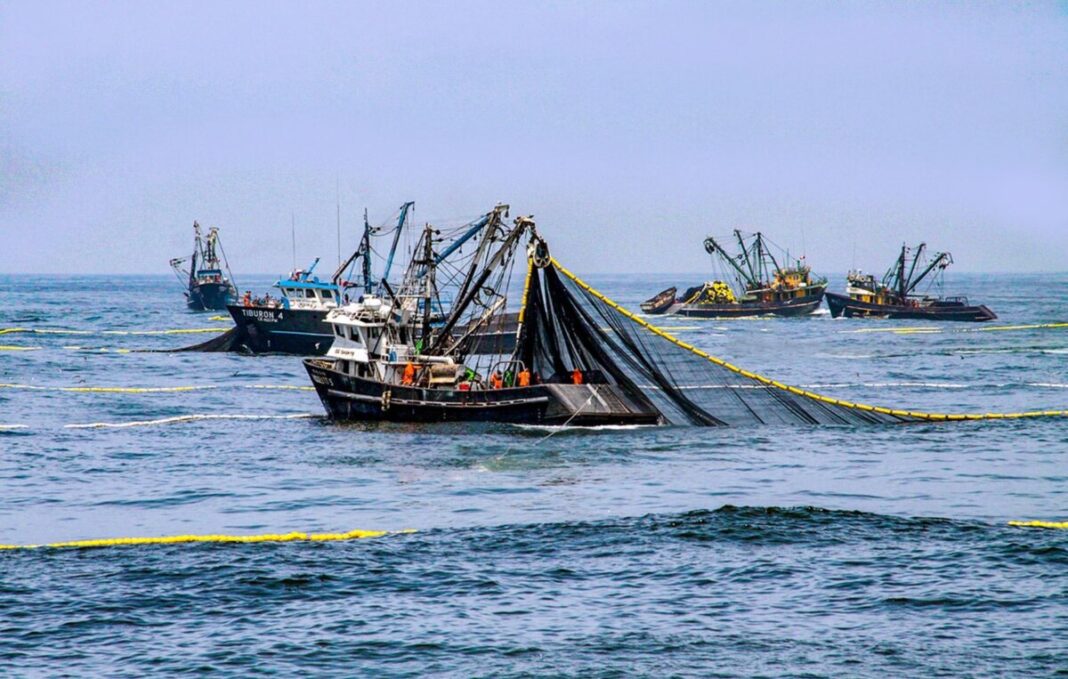 Piura: pescadores solicitan declaratoria de emergencia ante fenómenos climáticos