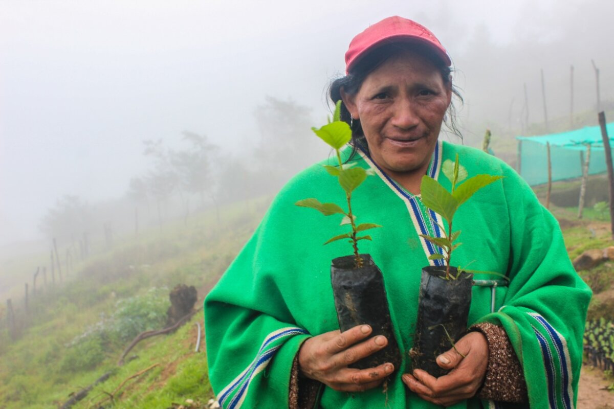 Realizarán forúm regional "La Reforestación: ¡Actuando frente al cambio climático!" en la UNP