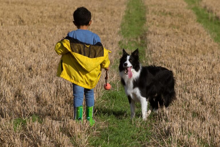 ¿Cómo influye tu estilo de vida en la salud y peso de tu mascota?
