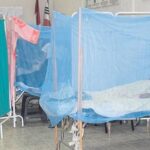 Piura: reportan 111 casos de chikungunya