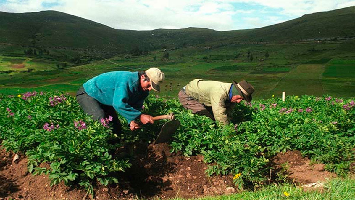 Ley de Alivio Financiero 2022 para Productores Peruanos