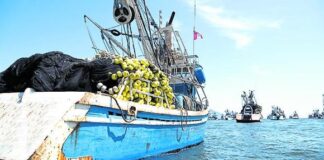 Paita: hampones roban S/92,000 a empresario pesquero