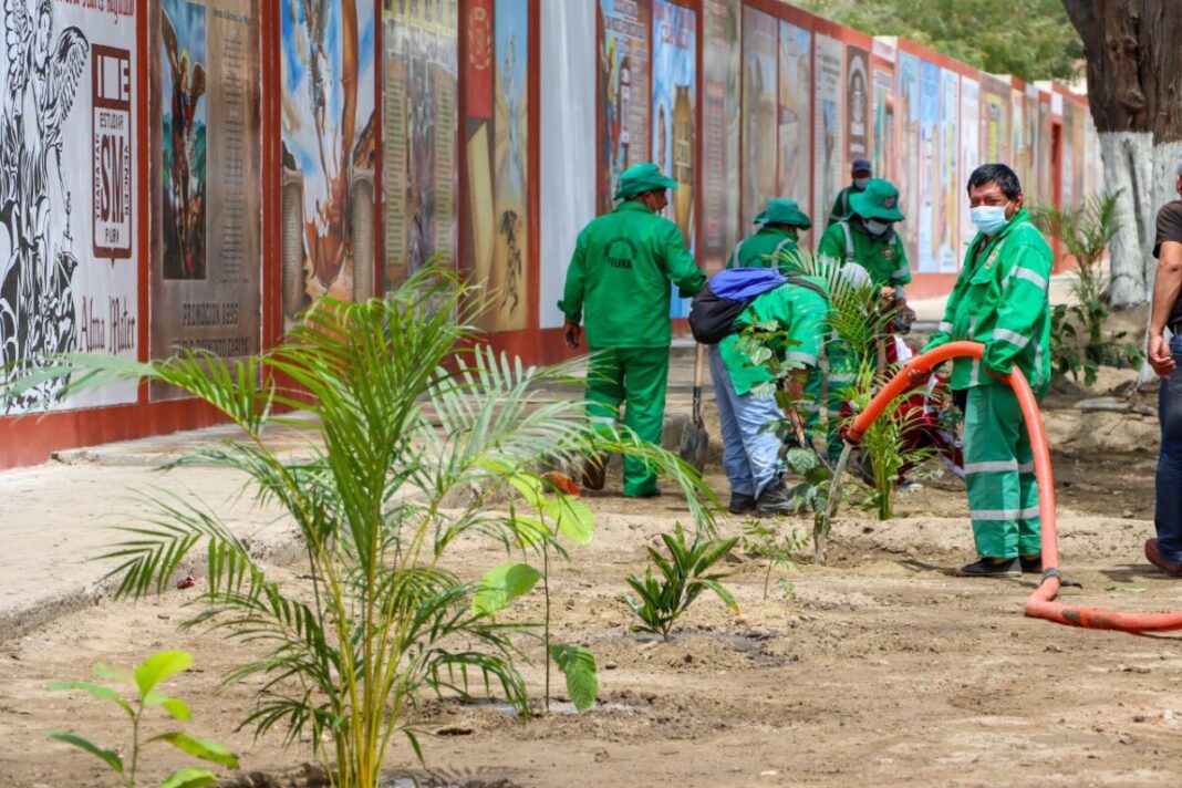 Piura: inician reforestación de jirón Huancavelica