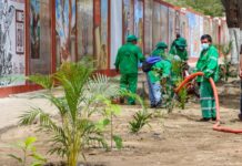 Piura: inician reforestación de jirón Huancavelica