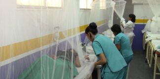 Dengue en el Perú: Ica supera a Piura en muertes por la enfermedad
