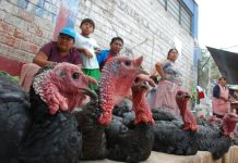 Paverías piuranas se ven afectadas esta Navidad por miedo ante gripe aviar