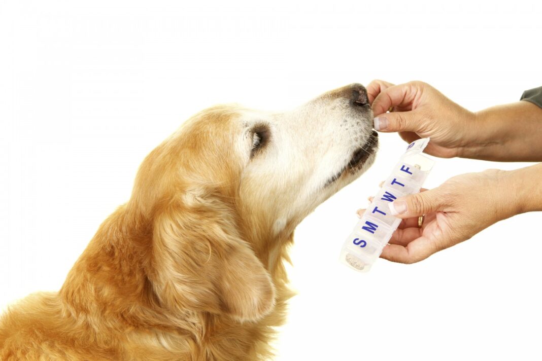 Medicamento prohibido para mascotas