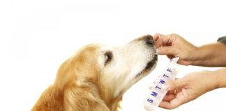 Medicamento prohibido para mascotas