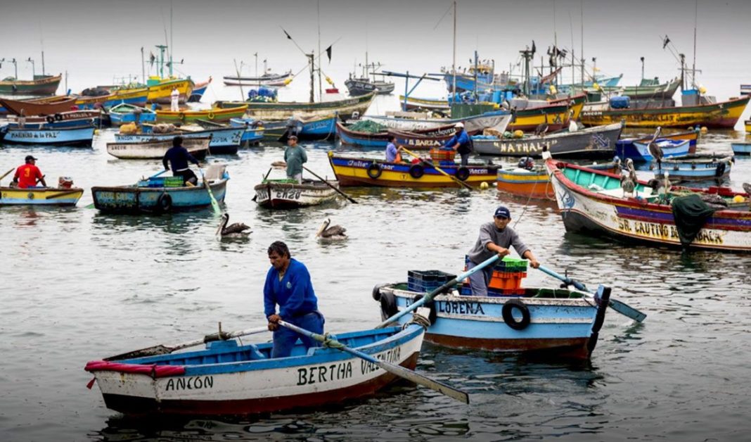 Piura: pescadores artesanales recibirán bono de 700 soles en diciembre