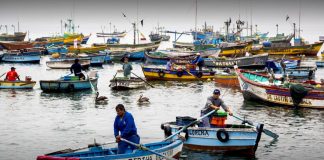 Piura: pescadores artesanales recibirán bono de 700 soles en diciembre