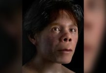 Paleoantropólogos restauran el rostro de un niño neandertal