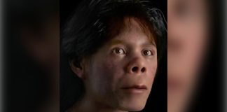 Paleoantropólogos restauran el rostro de un niño neandertal