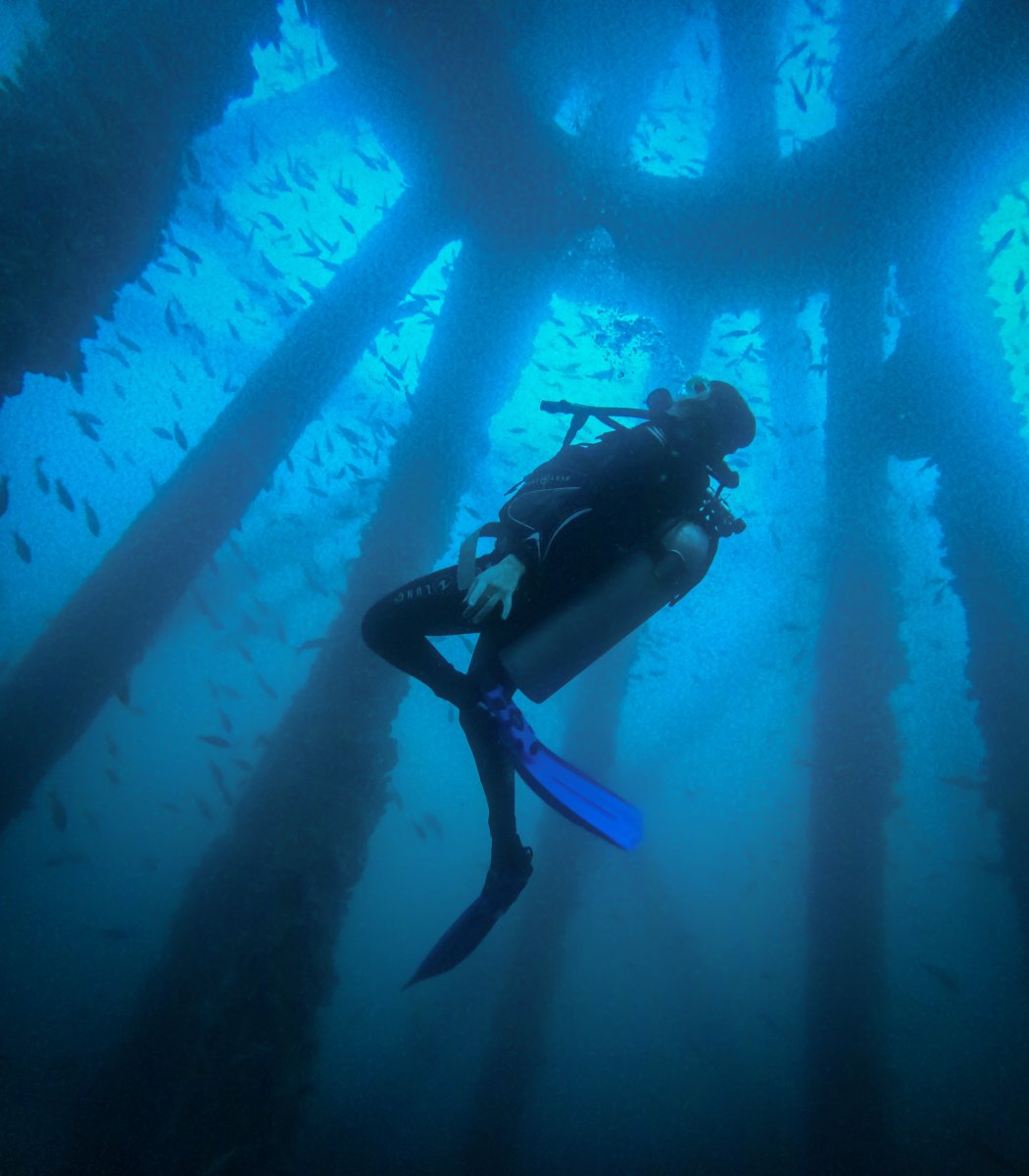 La estructura abandonada se convirtió en un arrecife artificial que alberga a más de cien especies marinas.