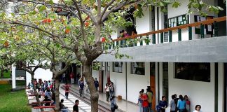 Universidad de Piura ofrece becas para la carrera de Educación