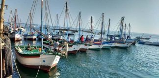 Indeci: reabren todos los puertos del litoral peruano
