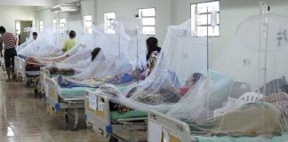 Los casos de dengue siguen en aumento y alarman a las autoridades sanitarias que vienen realizando esfuerzos para combatir a la enfermedad.