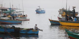Fuerte oleaje viene afectado el trabajo de los pescadores artesanales, en la región Piura.