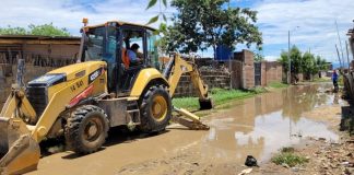Defensa Civil de la comuna de Tambogrande solicitará declaratoria de emergencia por lluvias.