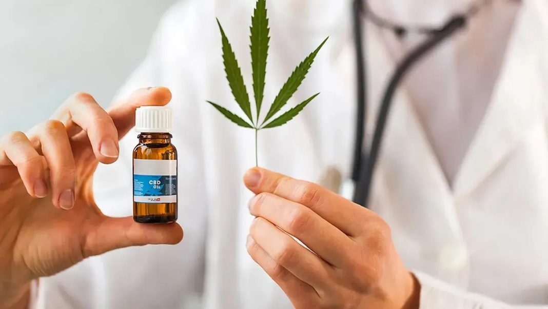 Minsa aprueba uso medicinal y terapútico del cannabis