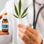 Minsa aprueba uso medicinal y terapútico del cannabis