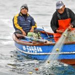 Bono de S/500 para pescadores : ¿cuándo y cómo lo entregarán?